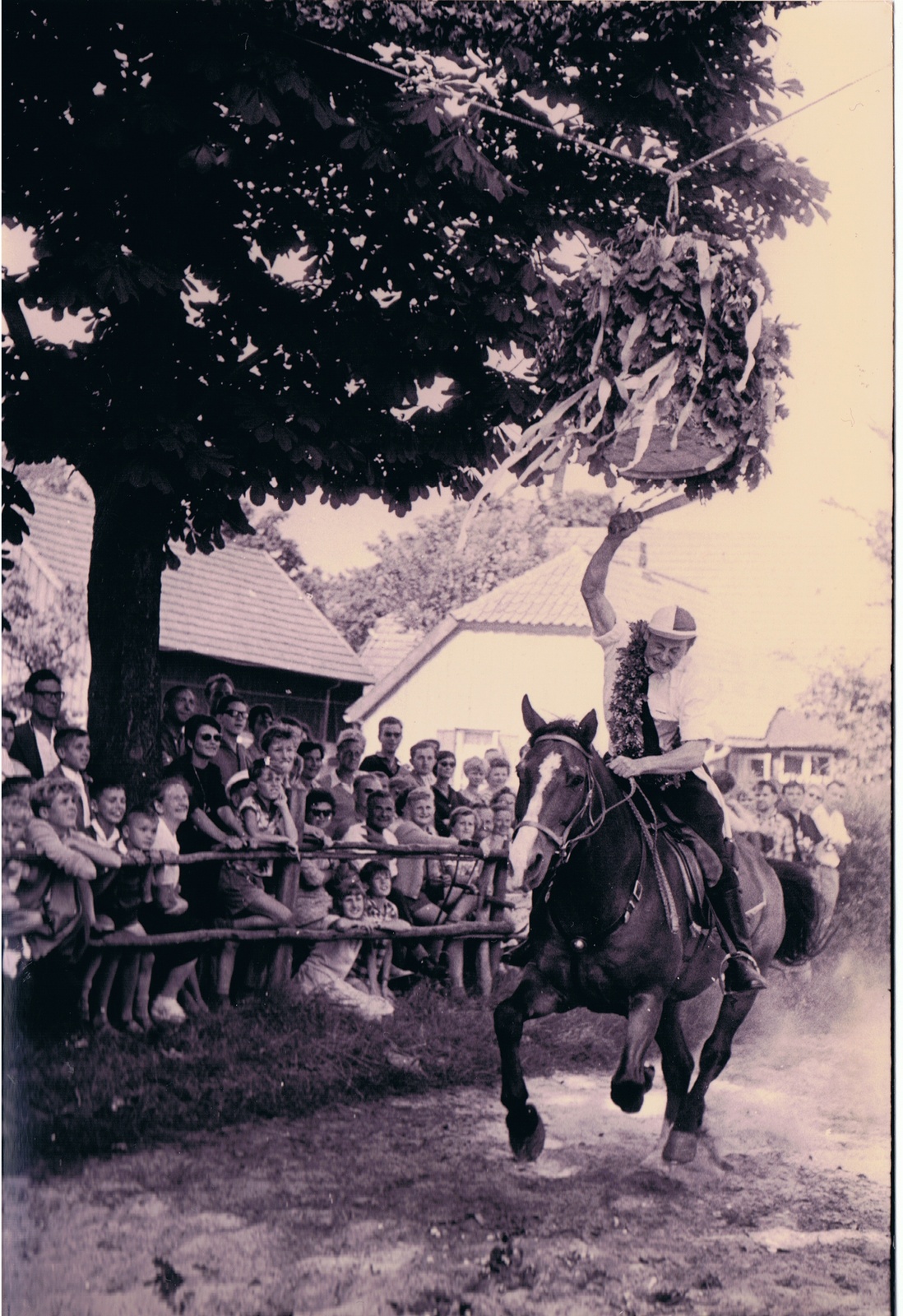 Reiter 1961